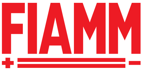 Image result for fiamm logo