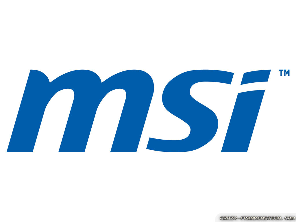 MSI Logo