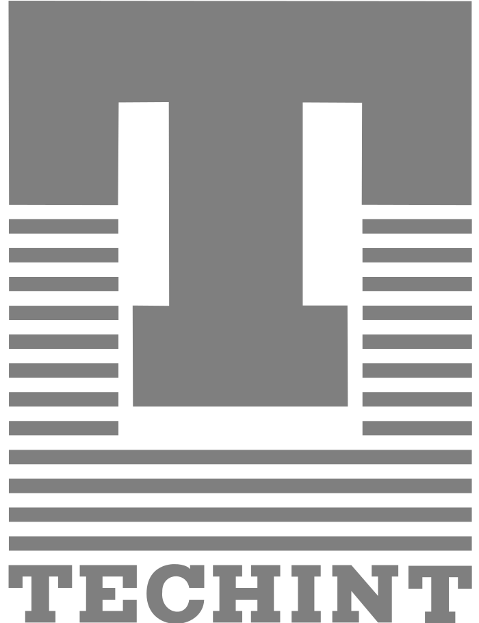 Techint Logo
